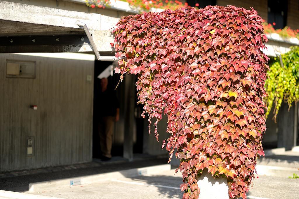 Hotel Sommerau Chur Dış mekan fotoğraf